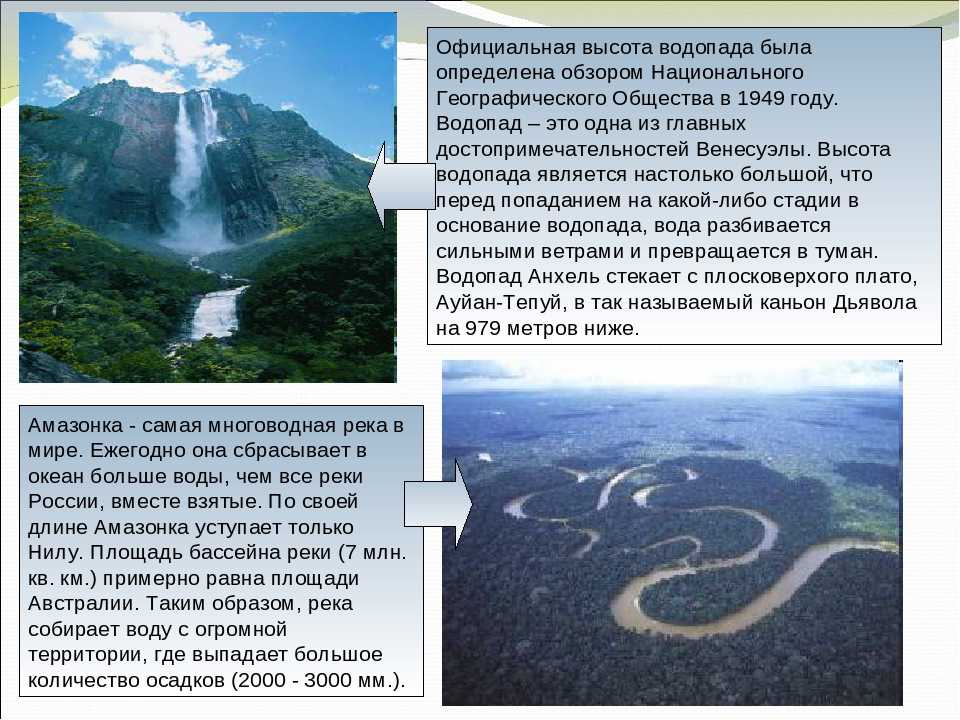 На столько ли опасна самая длинная река в мире амазонка