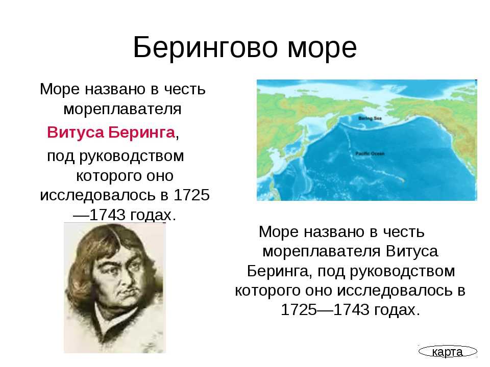 Берингово море характеристики, флора и фауна кратко