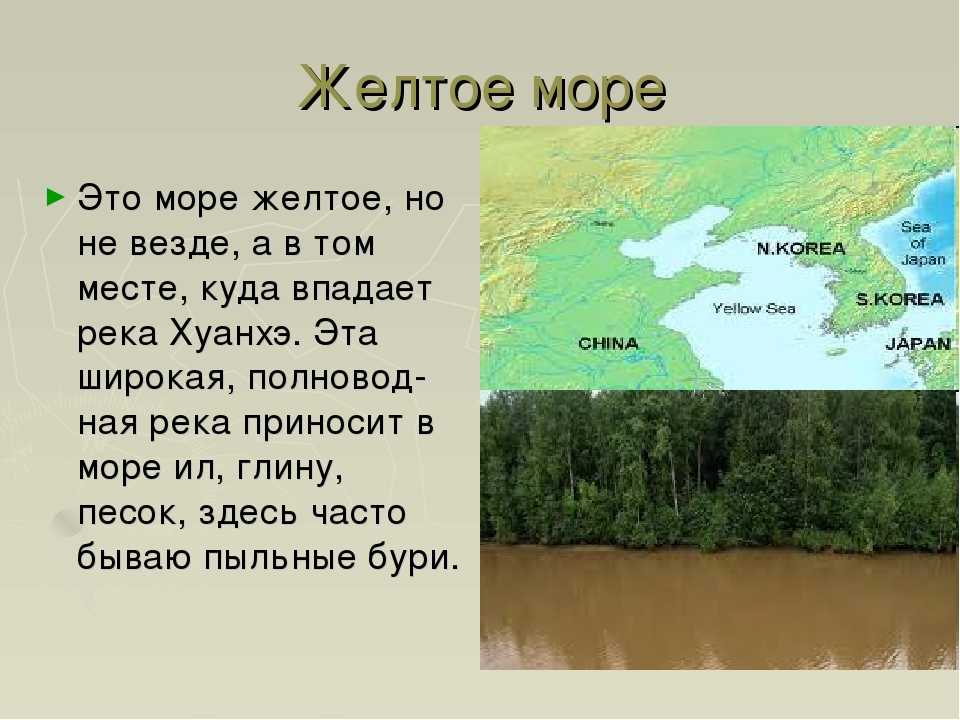 Река хуанхэ (китай) - длина, устье, исток желтой реки, описание