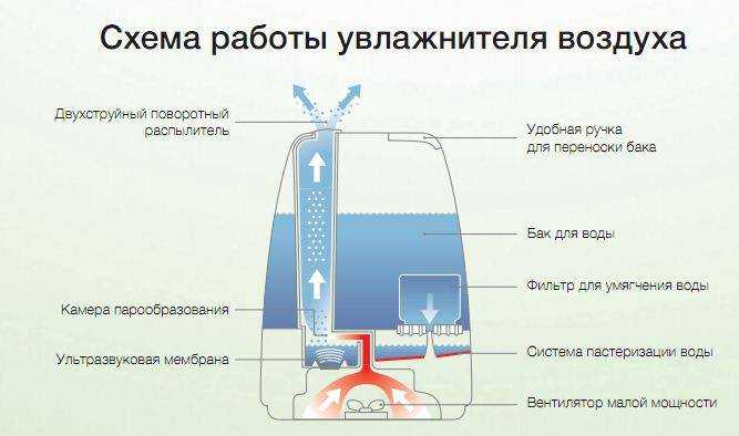 Вода для увлажнителя: как и какую заливать — вентиляция и кондиционирование
