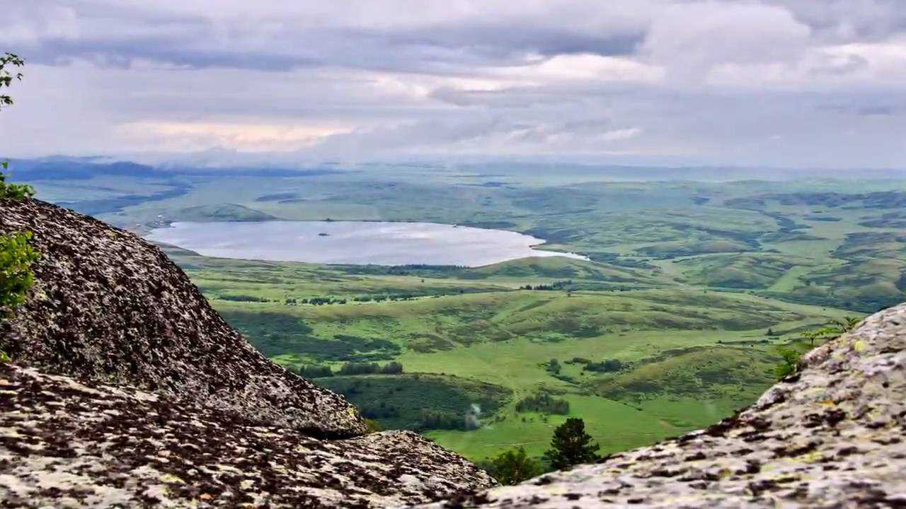 Администрация курьинского района алтайского края