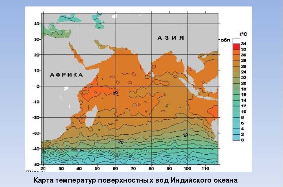 Теплые и холодные течения тихого океана