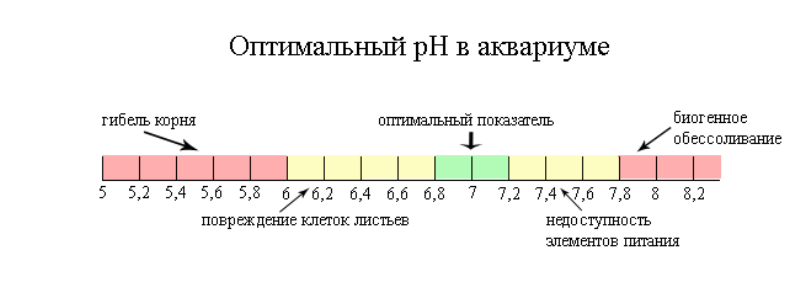 Как смягчить воду в аквариуме