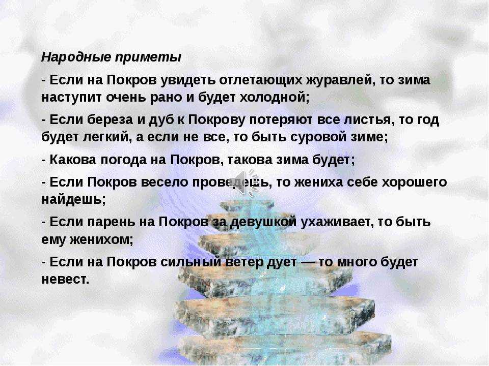 Как понять, что скоро будет дождь? как по поведению насекомых предсказать дождь?