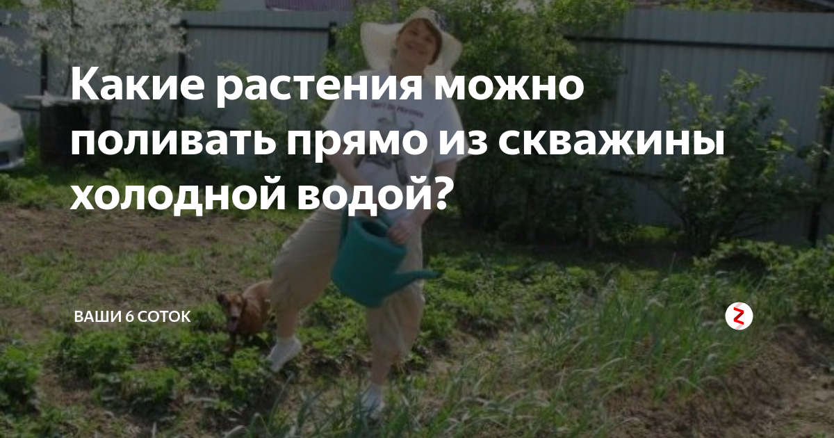 В этой статье отвечаем на вопросы можно ли поливать огород водой из скважины холодной, соленой, какие растения выдержат орошение, а какие нет, как подготовить H2O, каковы последствия неправильного температурного режима