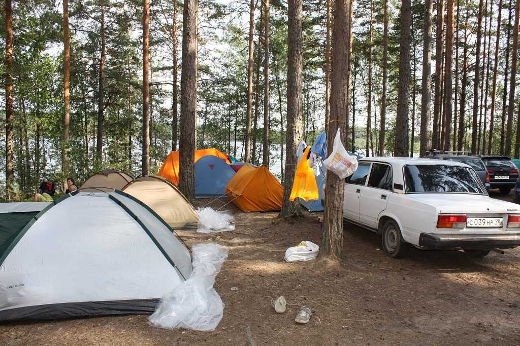 Озеро белое (московская область)