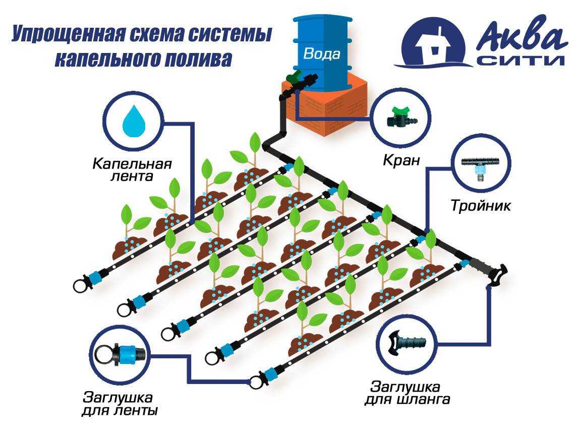 Советы агронома или как правильно поливать капельным поливом огород, теплицу и газон