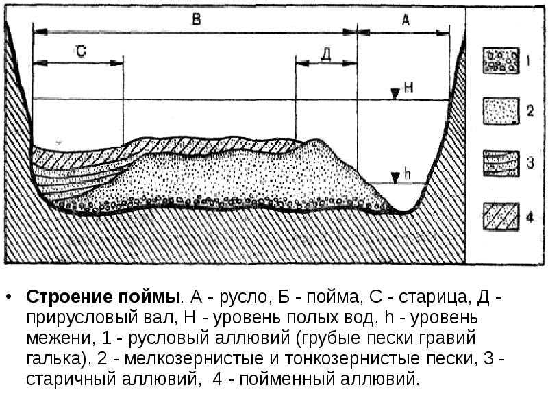 Пойма реки (5 фото): что это такое, определение в географии, описание надводной части речной долины, строение, классификация видов, отличия высокой от низкой