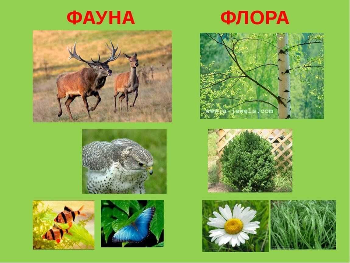 Геологическая деятельность океанов и морей | образовательный геологический сайт юрия попова