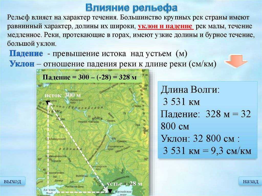 Река парана: обзор и характеристики, притоки, исток, устье