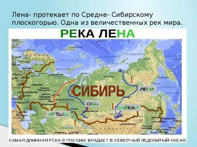 По каким природным зонам протекает енисей
