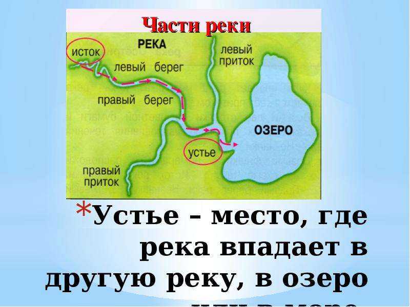Река нева (7 фото): где находится на карте санкт-петербурга, куда впадает, глубина, каналы в питере