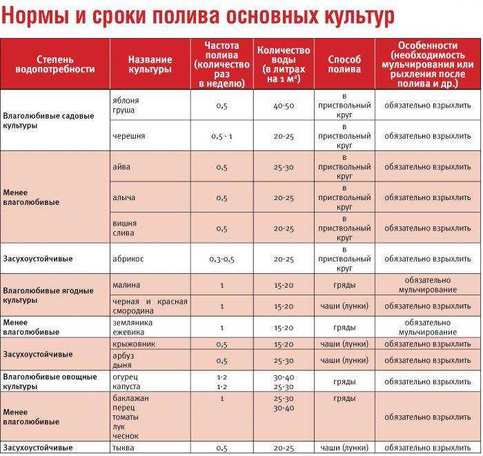 Как сделать капельный полив?