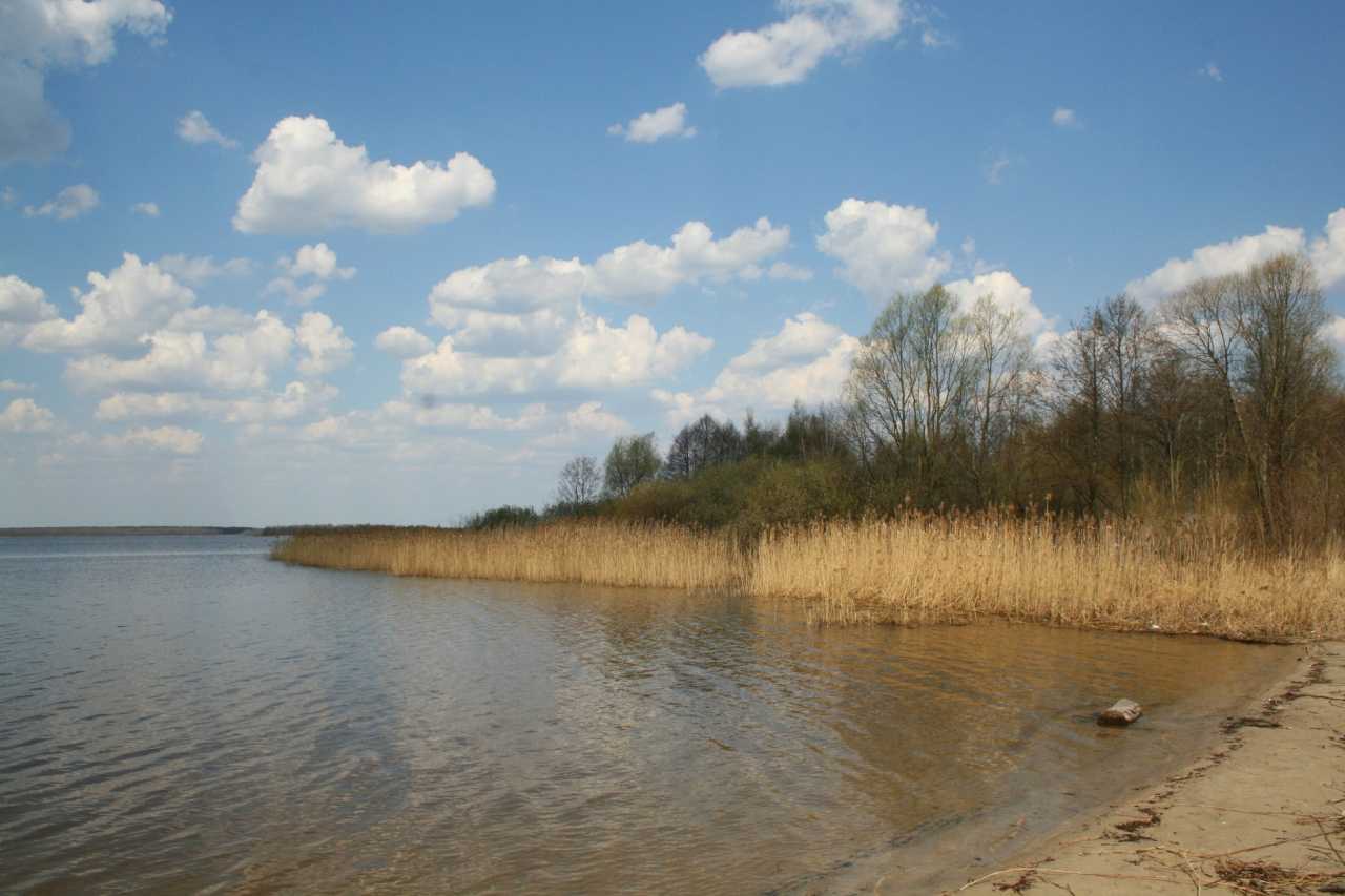 Озеро белое (московская область)
