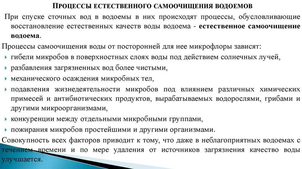 Что такое самоочищение водоема