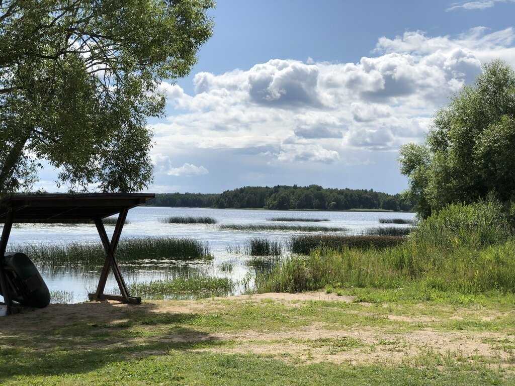 Озеро врево, лужский район. базы отдыха, рыбалка, карта, отзывы, фото, видео, как добраться — туристер.ру