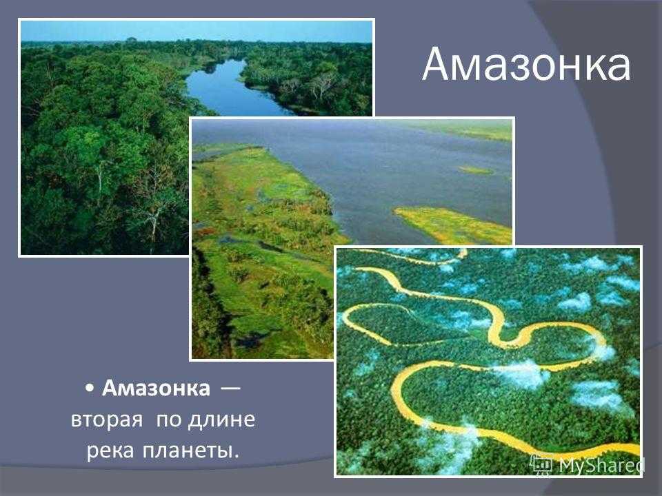 На столько ли опасна самая длинная река в мире амазонка