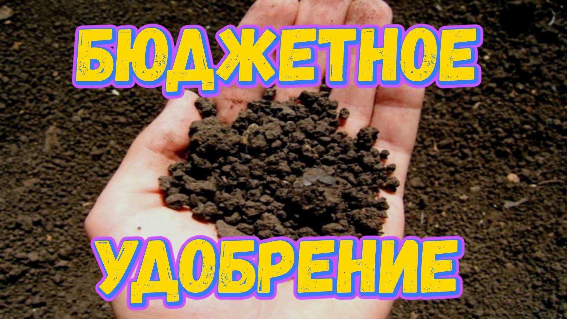 Удобрения для аквариума. виды. как применять при запуске аквариума?