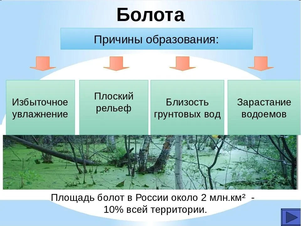 Нашим пойменным озёрам нужна помощь.