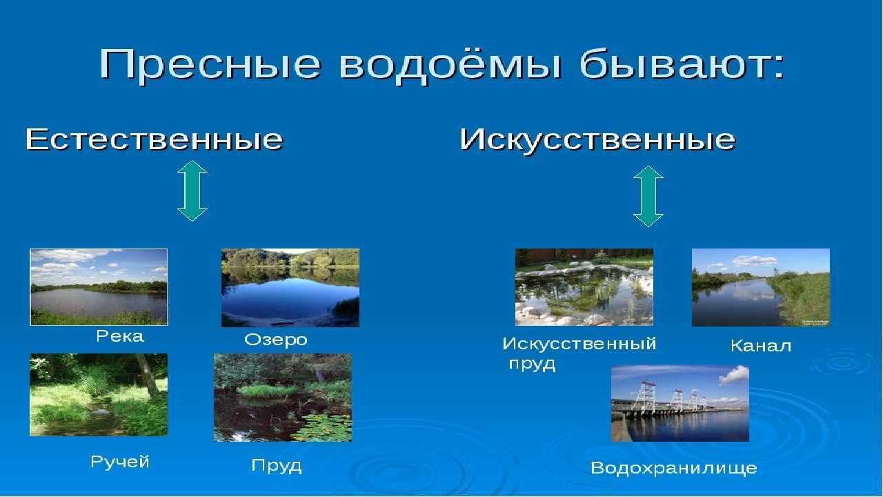 Продолжения изучения "чем отличается пруд от водохранилища?". урок для 6 класса
