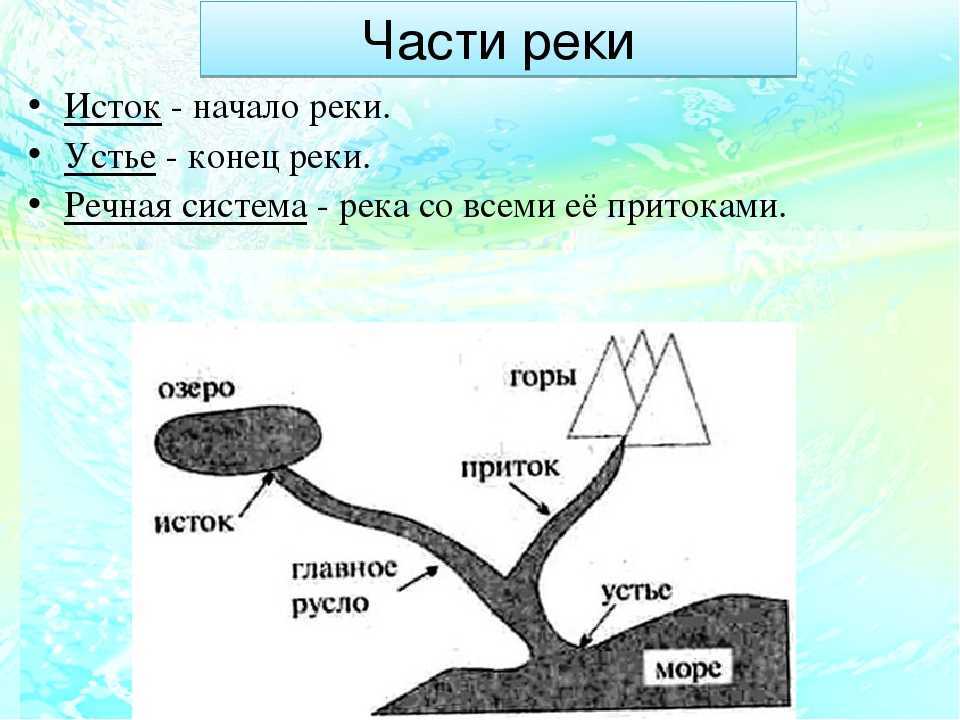 Устье реки это - определение, где конец реки