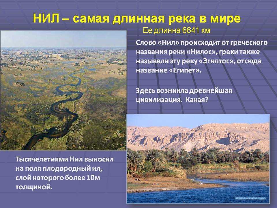 Самая длинная река в мире: амазонка или нил: сравнение, длина в км, сходство, какая больше и длиннее