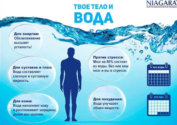 Сколько воды должен пить человек? мнение опытного врача эндокринолога