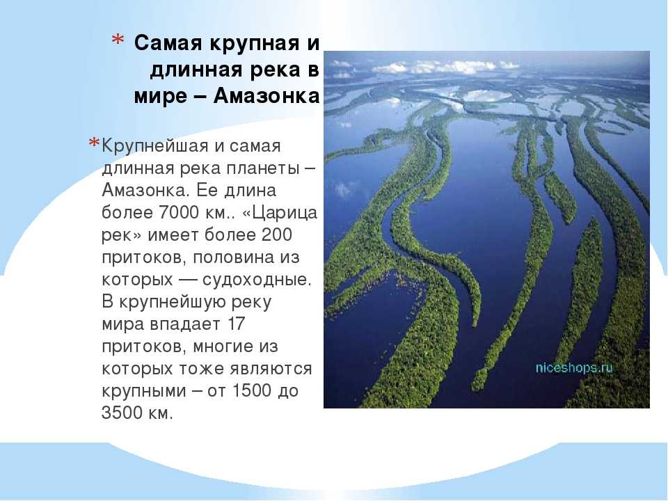 Список притоков реки Амазонка, их короткое описание, крупнейшие притоки, левые и правые