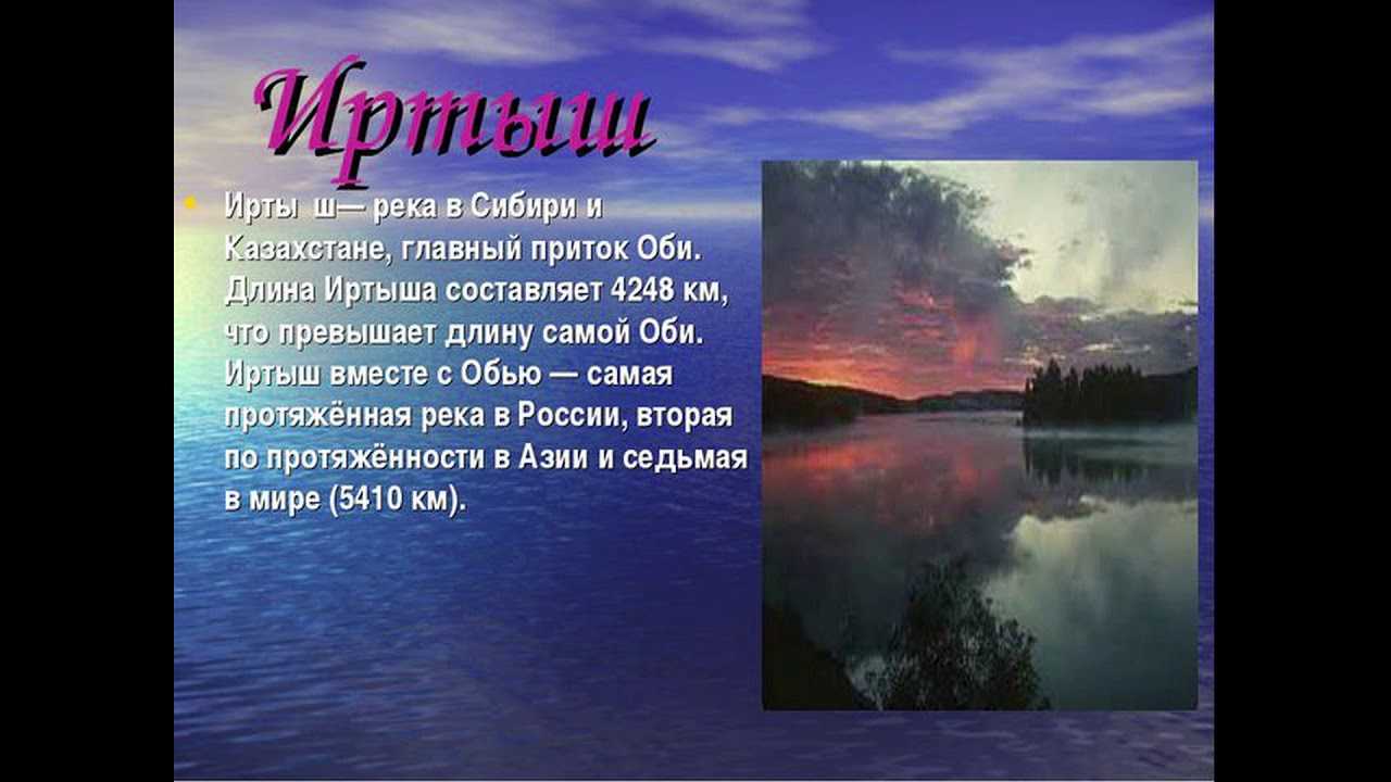 Площадь иртыша. растительный и животный мир