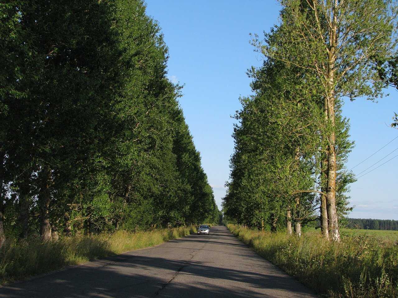 Озеро Врево, вся информация, как добраться, все виды рыб, глубины, рыбалка, отдых, рельеф дна, подробное описание