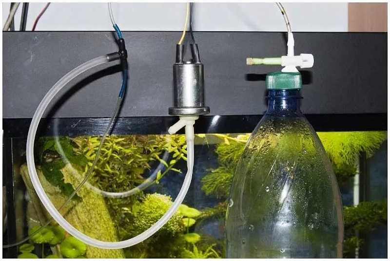Со2 в аквариуме с растениями (the aquatic gardener, tropica)