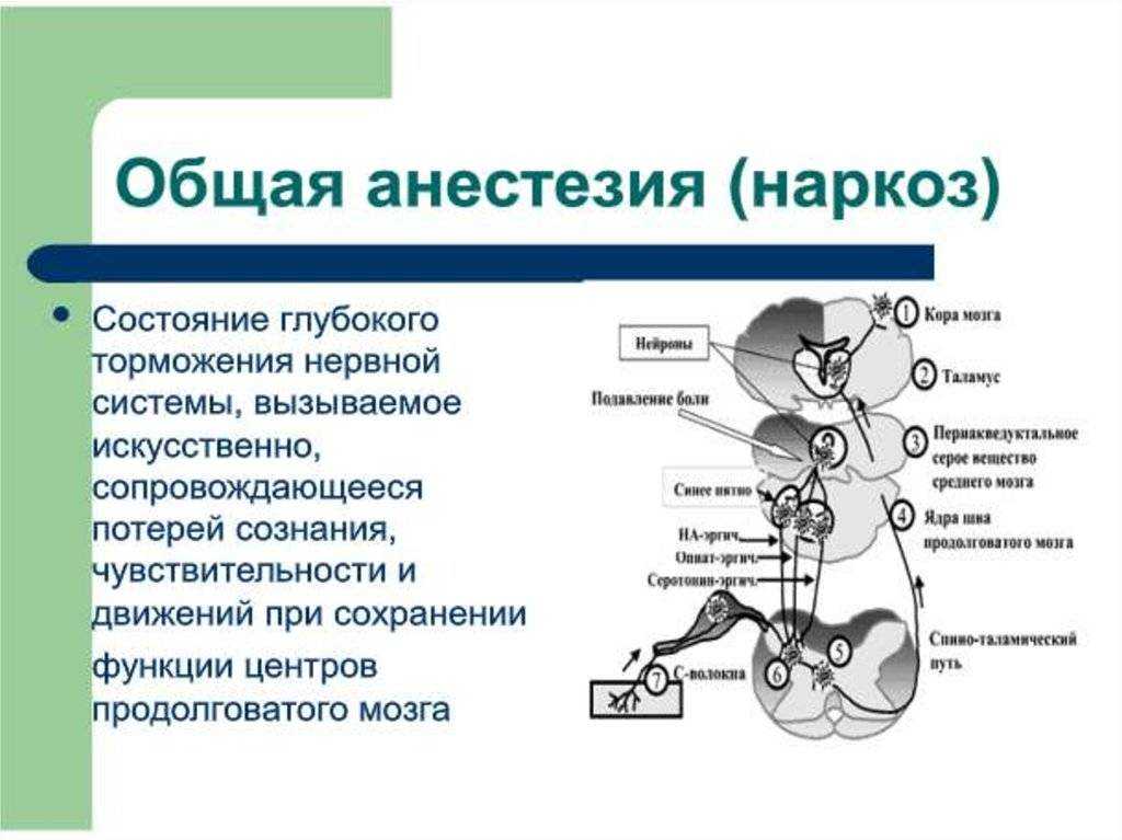 Узнайте, можно ли пить воду после наркоза, в каких случаях нельзя и по какой причине, как продержаться без питья Что можно использоваться в качестве жидкости после операции и через сколько