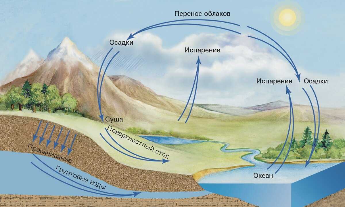 Где применяется и как определить давление насыщенного водяного пара?