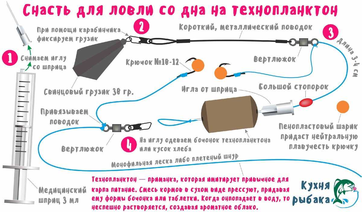 Тилапия – симпатичная цихлида родом из африки |