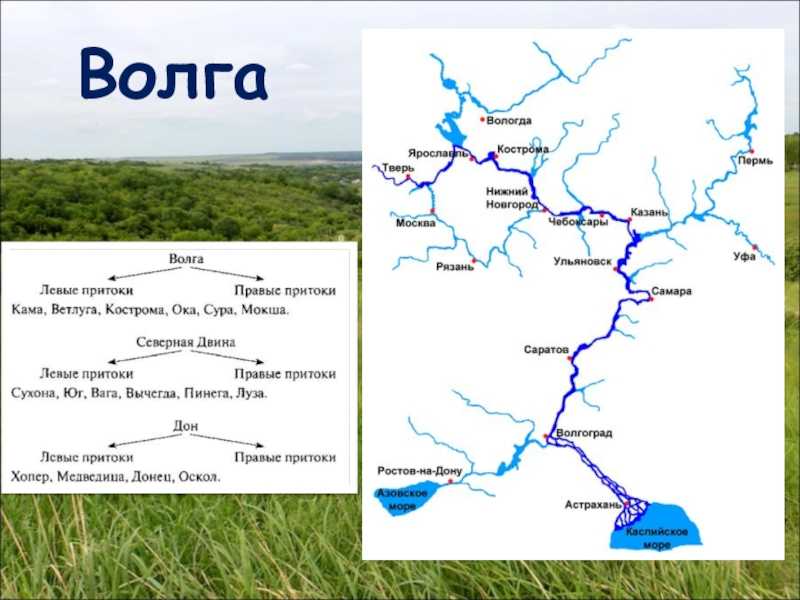 Река волга