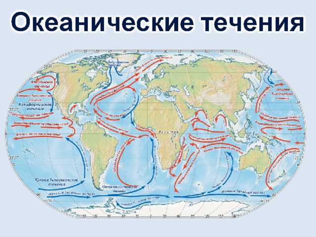 Течения тихого океана - направления и особенности потоков