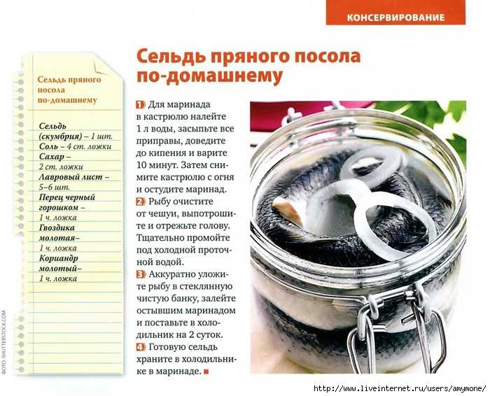 Лечение рыбок солью и как проводить солевые ванны