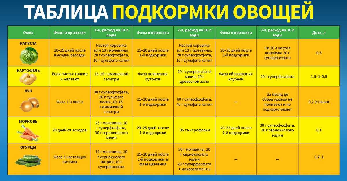 Подкормка огурцов кефиром в теплице: пропорции, с йодом, с зеленкой