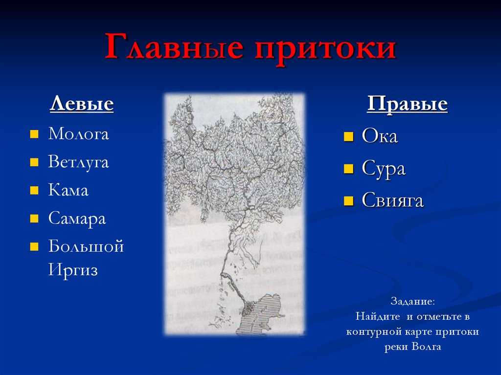 Река волга - самая длинная река в россии, исток, устье, бассейн, глубина, притоки, города на волге, интересные факты.