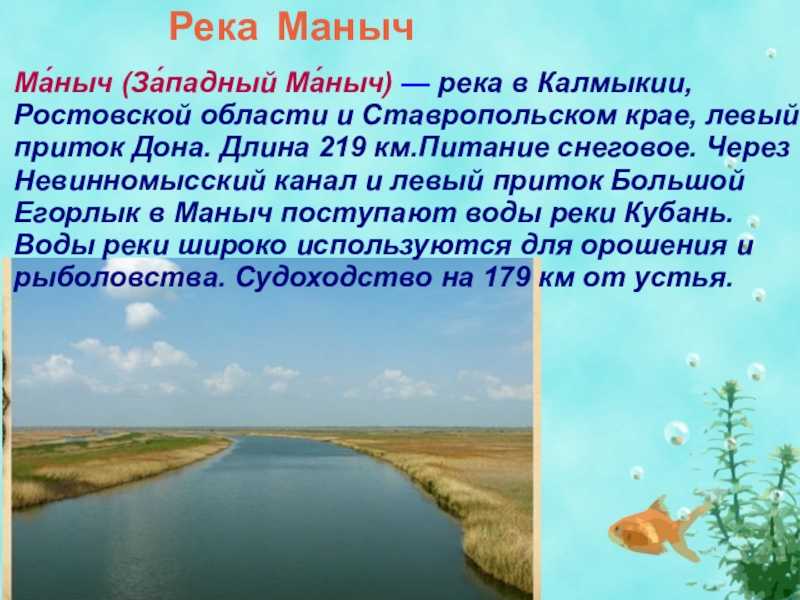 Рейтинг лучших мест для купания в ростовской области 2024