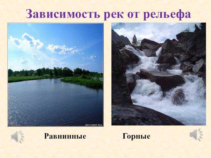 Река амазонка: история, местоположение, бассейн и климат.
