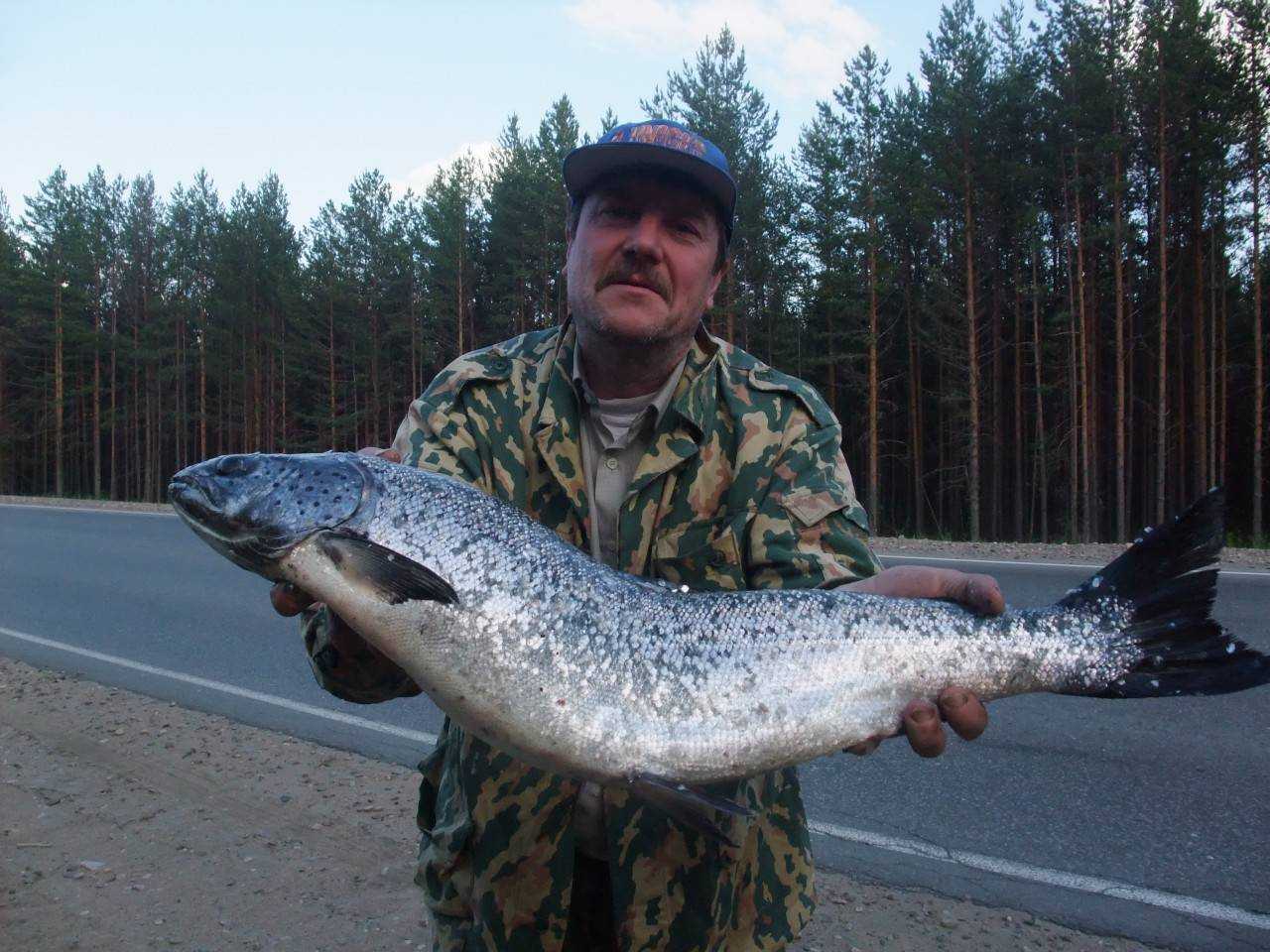 Рыбалка на онежском озере