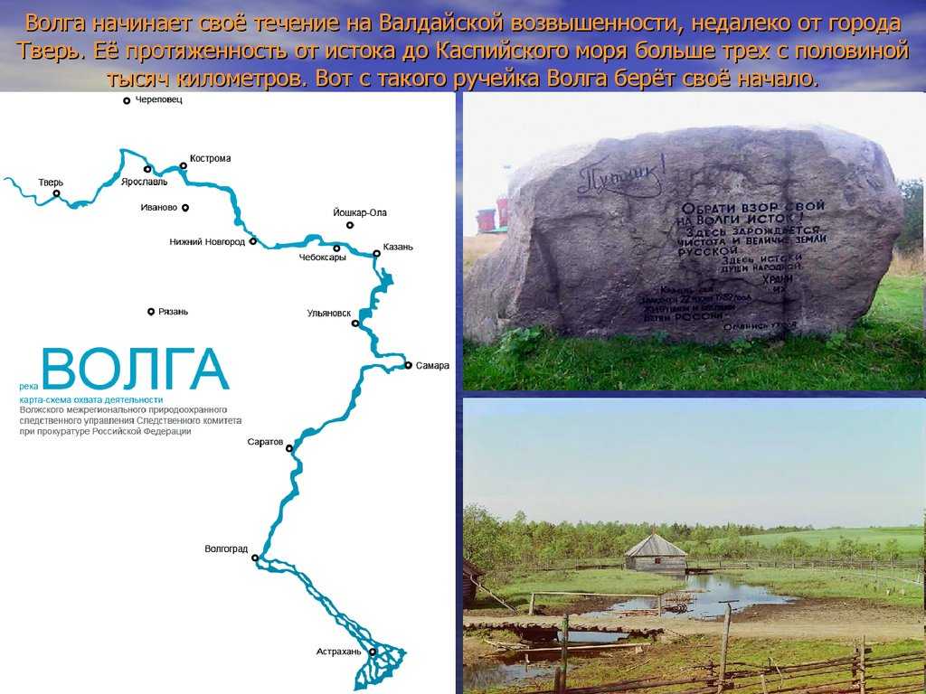 Река волга от устока до устья на карте россии: факты и подробности