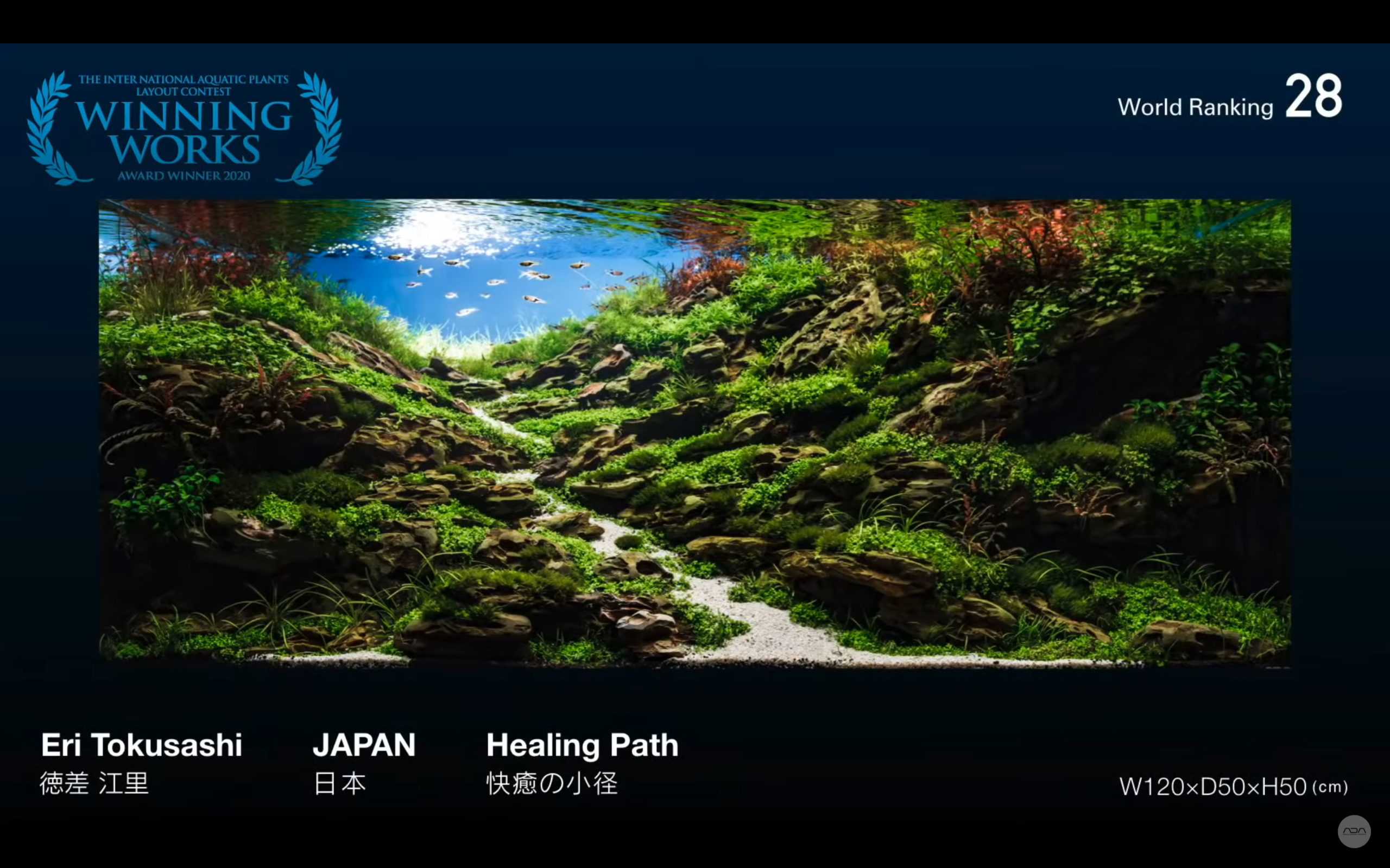 Awesome aquariums: winners of the 2015 international aquatic plants layout contest — colossal