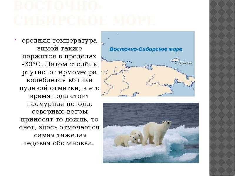 Восточно-сибирское море