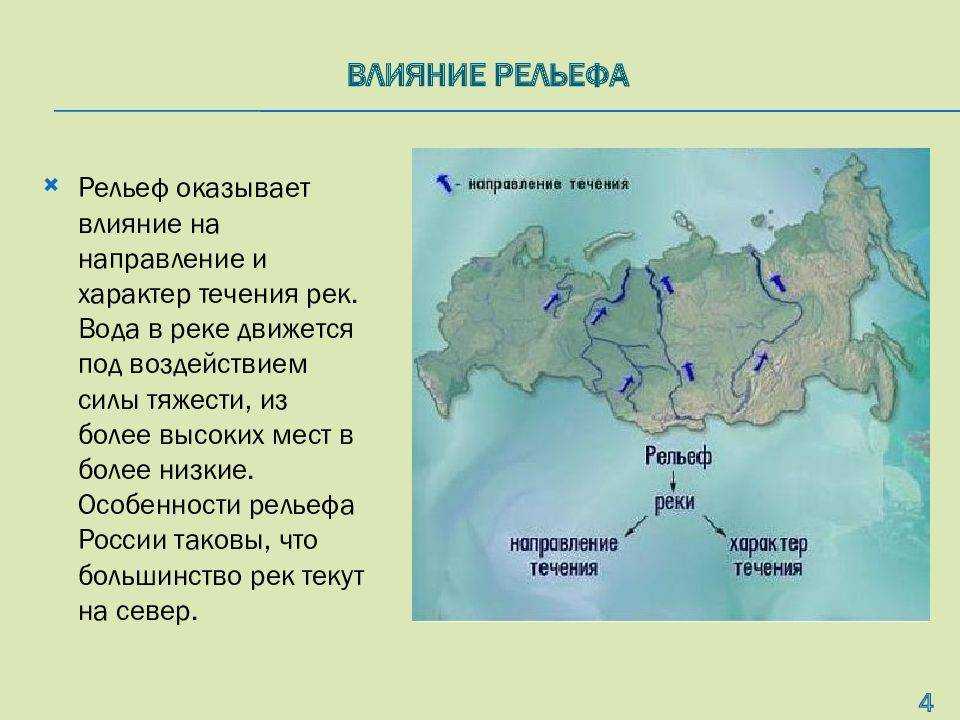 Своенравная рекордсменка – река амазонка