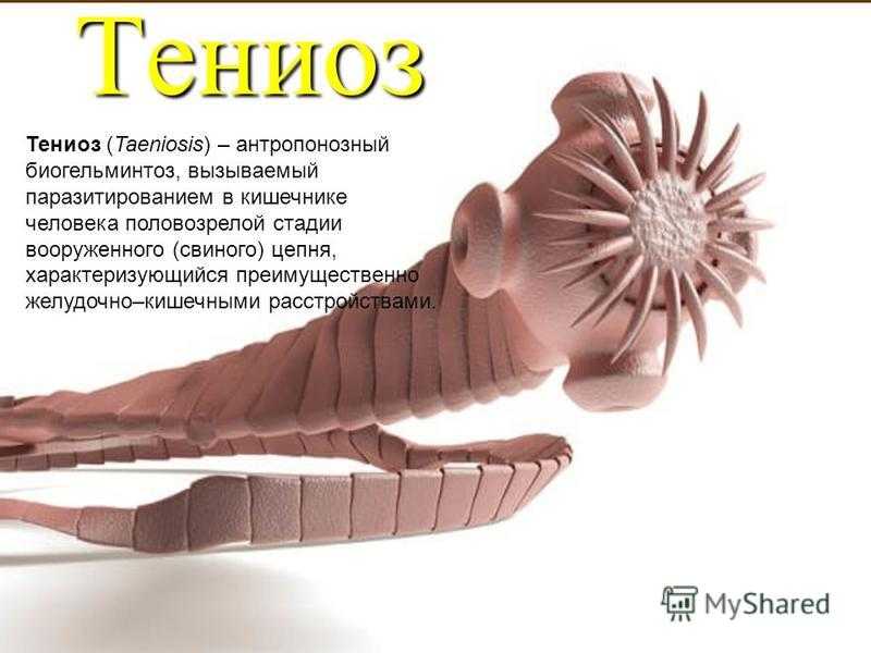 Способ применения фмц для аквариума как лекарство для рыб