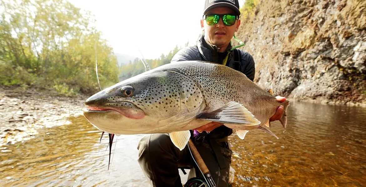 Рыбалка в мурманске и мурманской области: карты рыбных мест, какая рыба водится