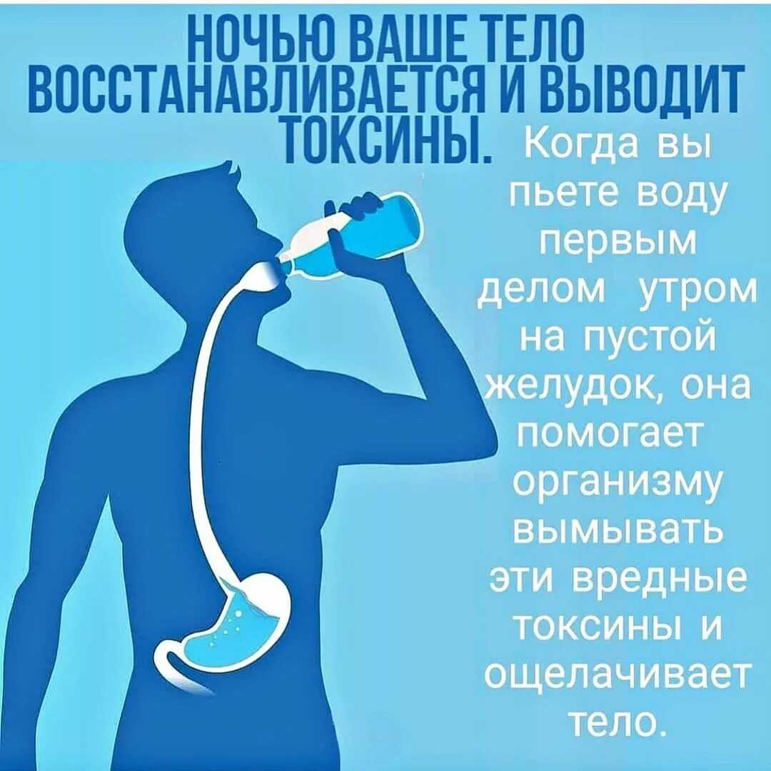 6 приложений, чтобы не забывать пить воду на android