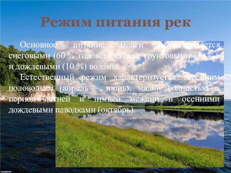 Волга - описание реки, течение, притоки, исток, устье